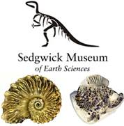 The Sedgwick Museum
